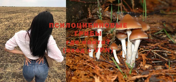кокаин премиум Кинешма