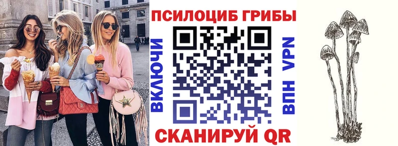 Псилоцибиновые грибы Cubensis  цена   Ногинск 